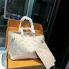 Stylish Fashion Carry Bag L5106