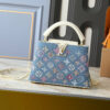 Chic Charm LV Handbag M12947-M12948 Chic Charm LV Handbag M12947-M12948
