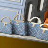 Chic Charm LV Handbag M12947-M12948 Chic Charm LV Handbag M12947-M12948