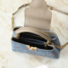 Chic Charm LV Handbag M12947-M12948 Chic Charm LV Handbag M12947-M12948