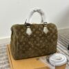 Stylish Fashion Carry LV Handbag LV2511108