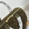Stylish Fashion Carry LV Handbag LV2511108