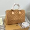 Stylish Fashion Carry LV Handbag LV2511108