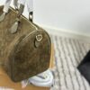 Stylish Fashion Carry LV Handbag LV2511108