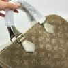 Stylish Fashion Carry LV Handbag LV2511108