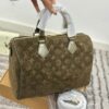 Stylish Fashion Carry LV Handbag LV2511108