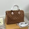 Stylish Fashion Carry LV Handbag LV2511108