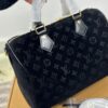 Stylish Fashion Carry LV Handbag LV2511108