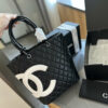 Stylish Fashion Carry Bag C4065
