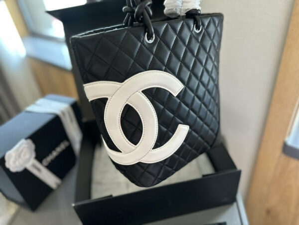 Stylish Fashion Carry Bag C4065