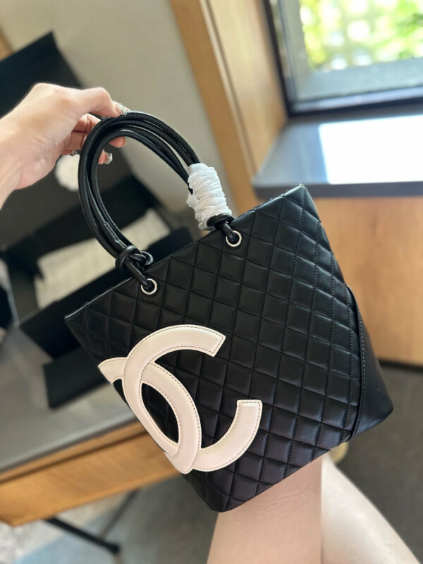 Stylish Fashion Carry Bag C4065