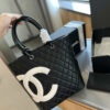 Stylish Fashion Carry Bag C4065