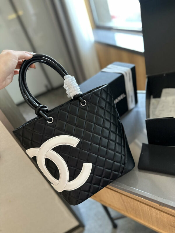 Stylish Fashion Carry Bag C4065