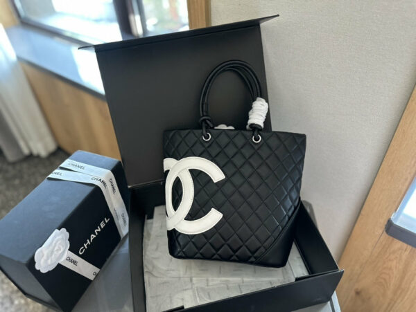 Stylish Fashion Carry Bag C4065
