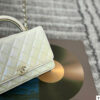 Stylish Fashion Carry Bag C4067