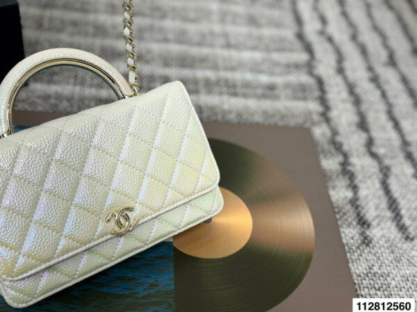 Stylish Fashion Carry Bag C4067
