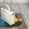 Stylish Fashion Carry Bag C4067