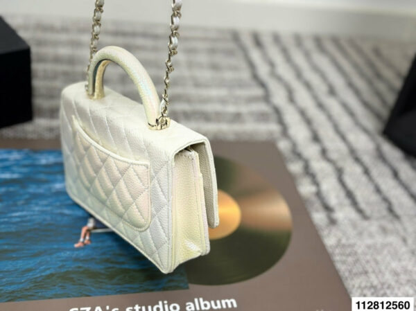 Stylish Fashion Carry Bag C4067
