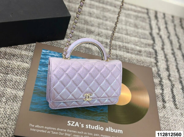 Stylish Fashion Carry Bag C4067