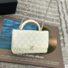 Stylish Fashion Carry Bag C4067