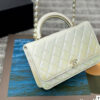Stylish Fashion Carry Bag C4067