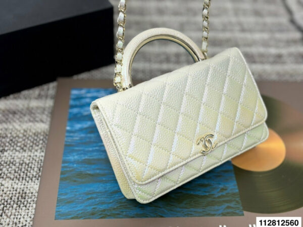 Stylish Fashion Carry Bag C4067