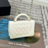 Stylish Fashion Carry Bag C4067