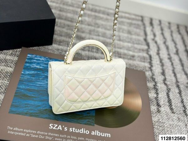 Stylish Fashion Carry Bag C4067