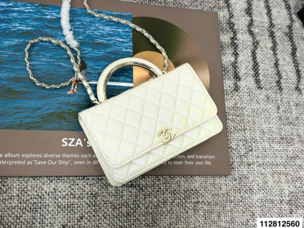 Stylish Fashion Carry Bag C4067