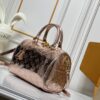 Chic Charm LV Handbag M24425-M24424-M24422 Chic Charm LV Handbag M24425-M24424-M24422