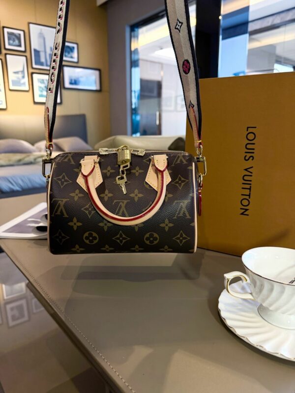 Stylish Fashion Carry Bag L309