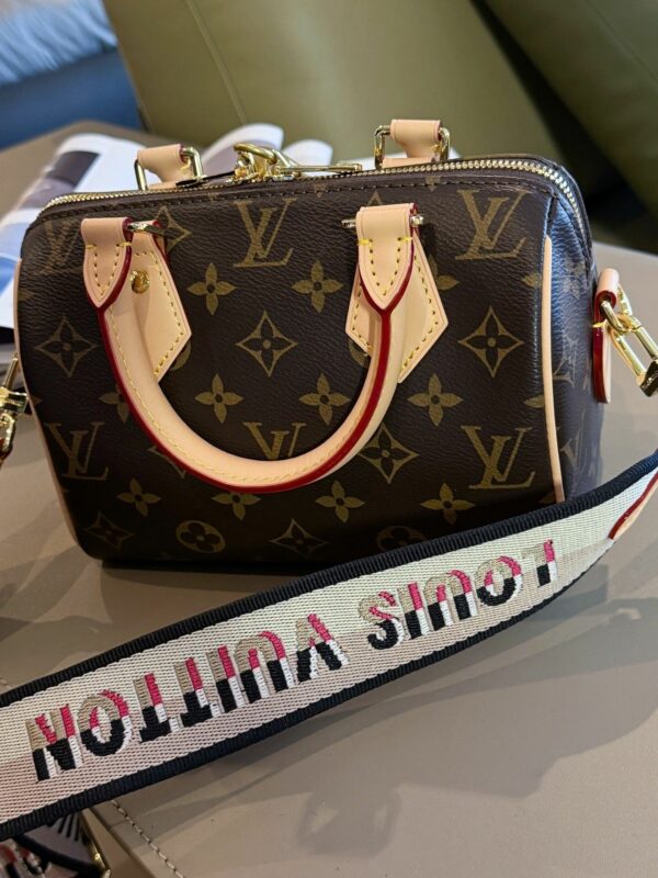 Stylish Fashion Carry Bag L309
