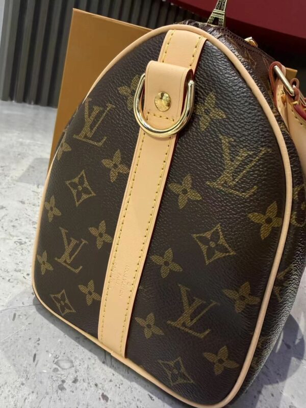 Stylish Fashion Carry Bag L303