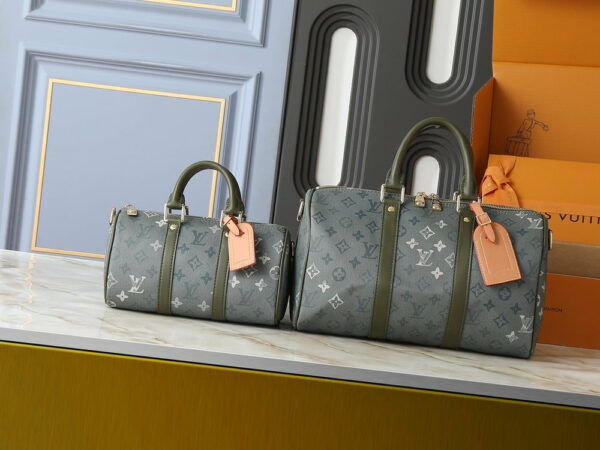Chic Charm LV Handbag M46655-M22765 Chic Charm LV Handbag M46655-M22765