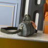 Chic Charm LV Handbag M46655-M22765 Chic Charm LV Handbag M46655-M22765