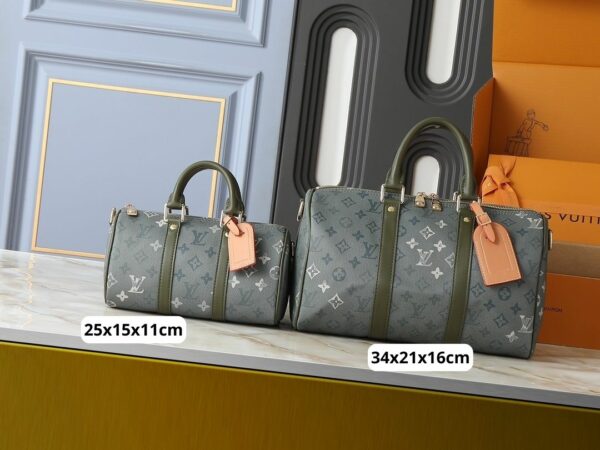 Chic Charm LV Handbag M46655-M22765 Chic Charm LV Handbag M46655-M22765
