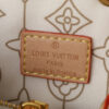 Chic Charm LV Handbag N40474-1 Chic Charm LV Handbag N40474-1