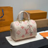 Stylish Fashion Carry Bag L5283 Stylish Fashion Carry Bag L5283
