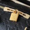 Chic Charm LV Handbag M47186-M11323 Chic Charm LV Handbag M47186-M11323