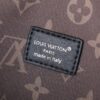 Chic Charm LV Handbag M14700-M26563-M14702-081 Chic Charm LV Handbag M14700-M26563-M14702-081