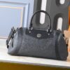 Chic Charm LV Handbag M14700-M26563-M14702-081 Chic Charm LV Handbag M14700-M26563-M14702-081