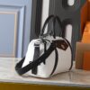 Chic Charm LV Handbag M14700-M26563-M14702-081 Chic Charm LV Handbag M14700-M26563-M14702-081