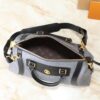 Chic Charm LV Handbag M14700-M26563-M14702-081 Chic Charm LV Handbag M14700-M26563-M14702-081