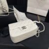 Stylish Fashion Carry Bag C4072-1