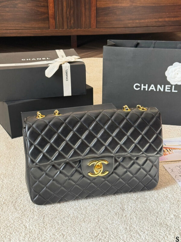 Stylish Fashion Carry Bag C4075