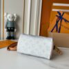 Chic Charm LV Handbag M27530-M27951 Chic Charm LV Handbag M27530-M27951