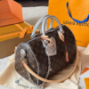 Stylish Fashion Carry Bag L5314