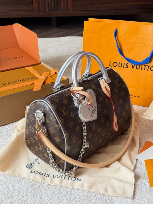 Stylish Fashion Carry Bag L5314