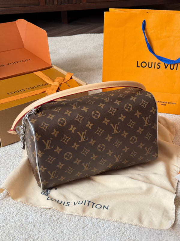 Stylish Fashion Carry Bag L5314