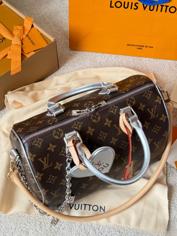 Stylish Fashion Carry Bag L5314